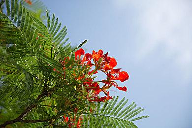 《龙腾世纪：影障守护者》发售日今晚12点公开